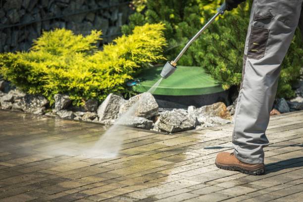 Best Roof Washing  in Woodward, IA