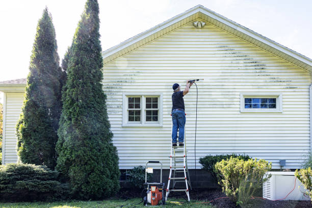 Best Patio and Deck Pressure Washing  in Woodward, IA